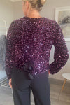 Women's Round Neck Long Sleeve Sequined Party Top